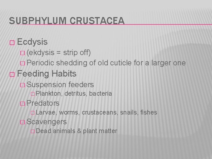 SUBPHYLUM CRUSTACEA � Ecdysis � (ekdysis = strip off) � Periodic shedding of old