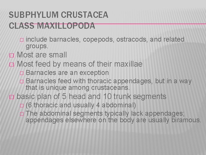 SUBPHYLUM CRUSTACEA CLASS MAXILLOPODA � include barnacles, copepods, ostracods, and related groups. Most are