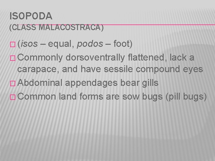 ISOPODA (CLASS MALACOSTRACA) � (isos – equal, podos – foot) � Commonly dorsoventrally flattened,
