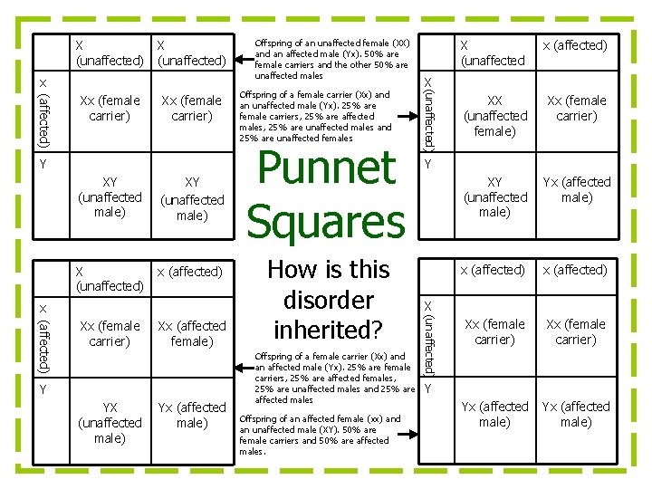 X (unaffected) (affected) Xx (female carrier) Y XY (unaffected male) X (unaffected) x (affected)
