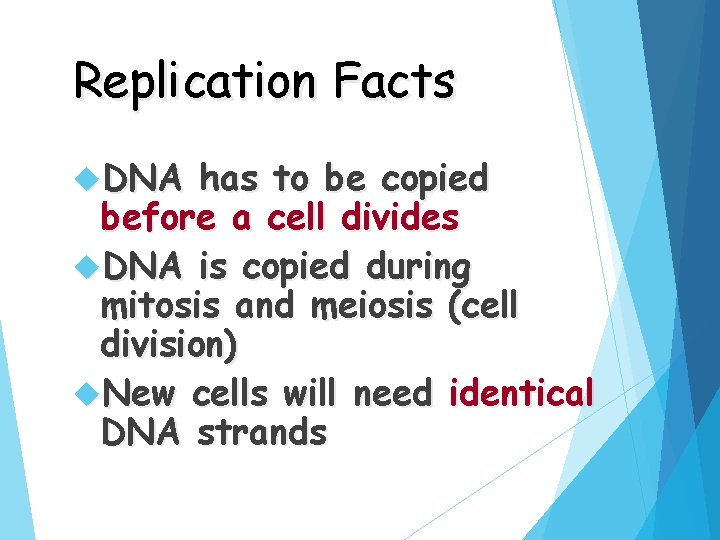 Replication Facts DNA has to be copied before a cell divides DNA is copied