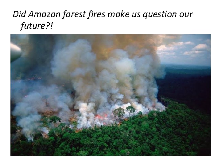 Did Amazon forest fires make us question our future? ! 