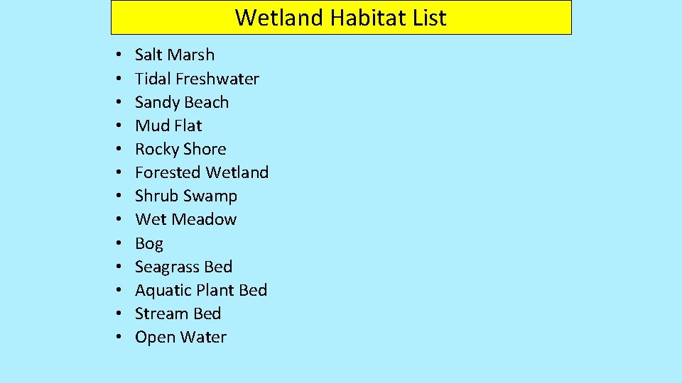 Wetland Habitat List • • • • Salt Marsh Tidal Freshwater Sandy Beach Mud Wetland Habitat List • • • • Salt Marsh Tidal Freshwater Sandy Beach Mud