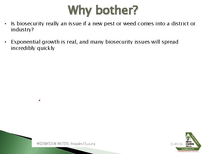 Why bother? • Is biosecurity really an issue if a new pest or weed