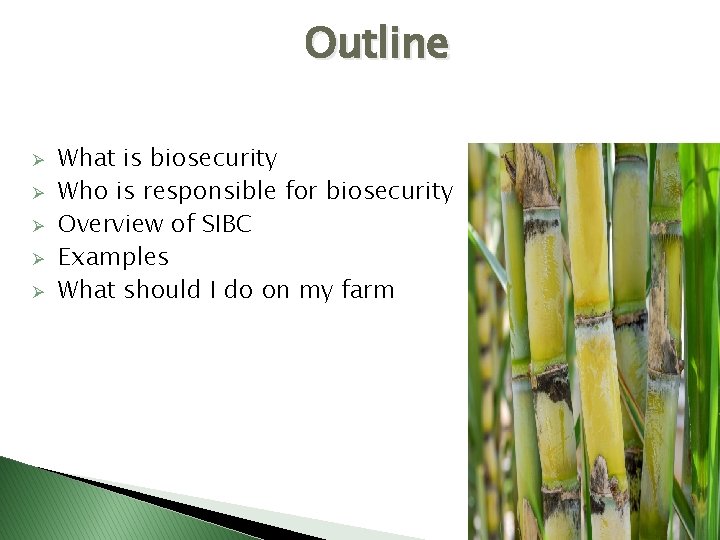Outline Ø Ø Ø What is biosecurity Who is responsible for biosecurity Overview of