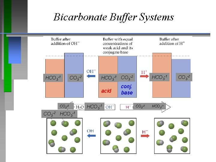 Bicarbonate Buffer Systems HCO 3 -1 CO 3 -2 acid CO 3 -2 HCO