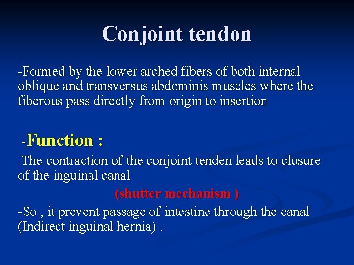 Conjoint tendon -Formed by the lower arched fibers of both internal oblique and transversus