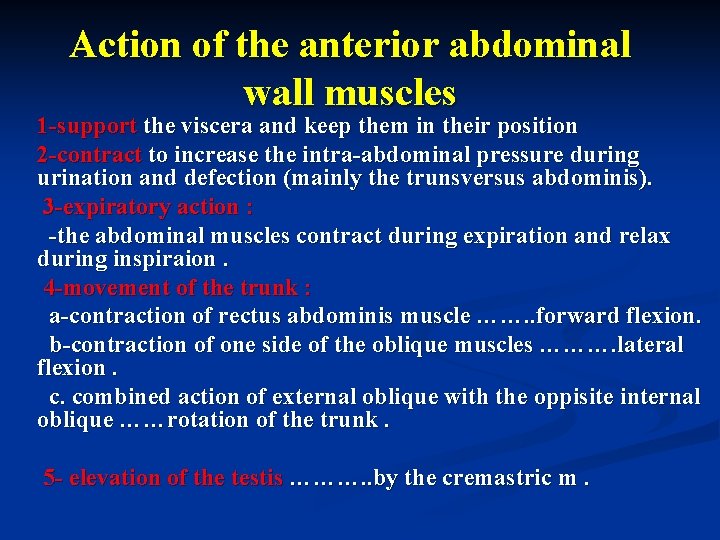 Action of the anterior abdominal wall muscles 1 -support the viscera and keep them