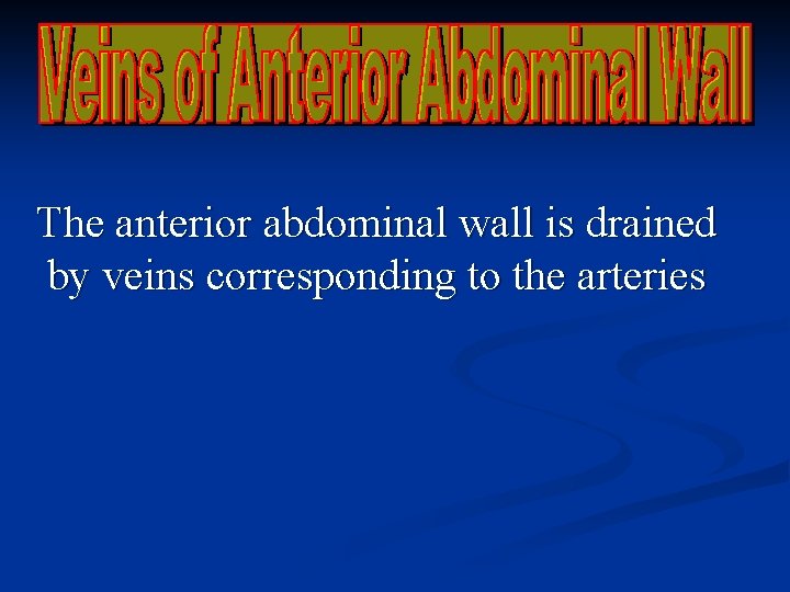 The anterior abdominal wall is drained by veins corresponding to the arteries 