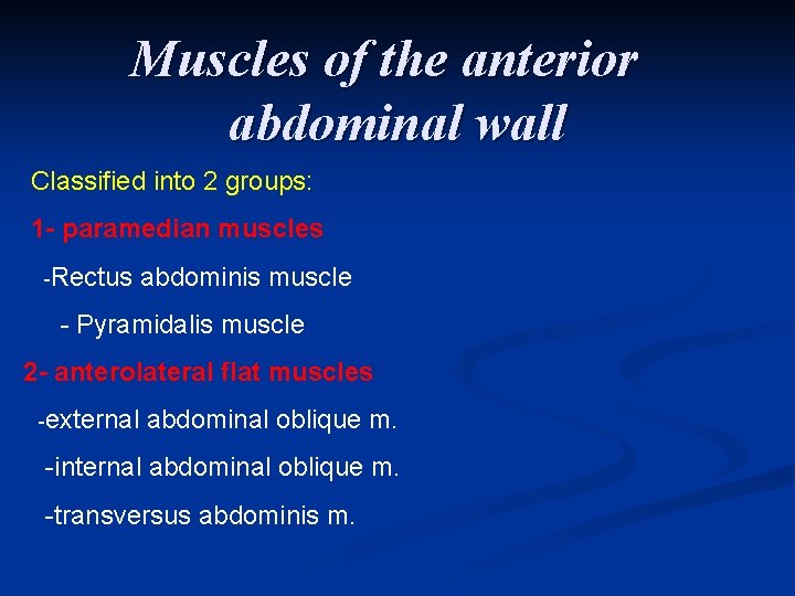 Muscles of the anterior abdominal wall Classified into 2 groups: 1 - paramedian muscles