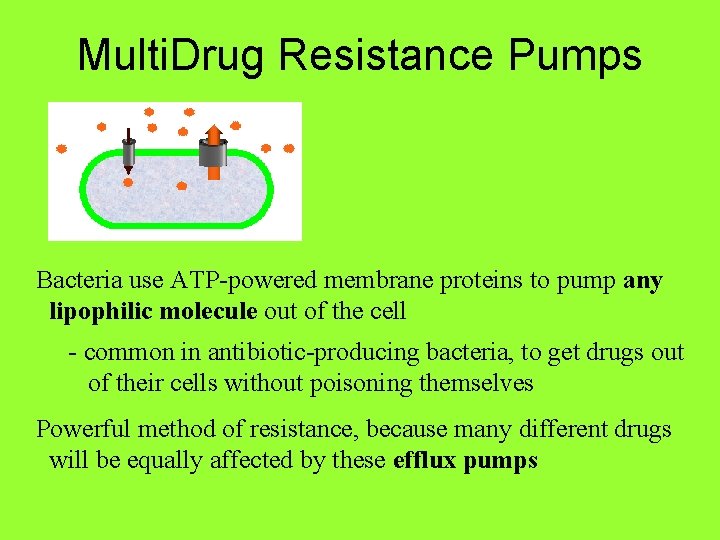 Multi. Drug Resistance Pumps Bacteria use ATP-powered membrane proteins to pump any lipophilic molecule