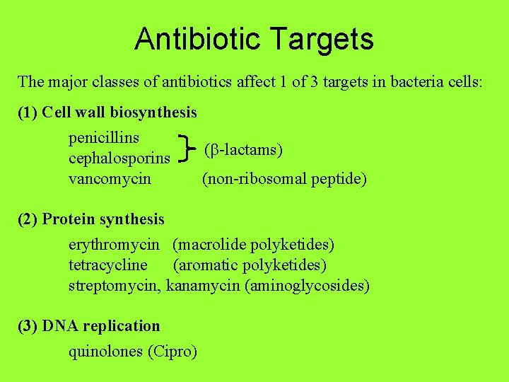 Antibiotic Targets The major classes of antibiotics affect 1 of 3 targets in bacteria