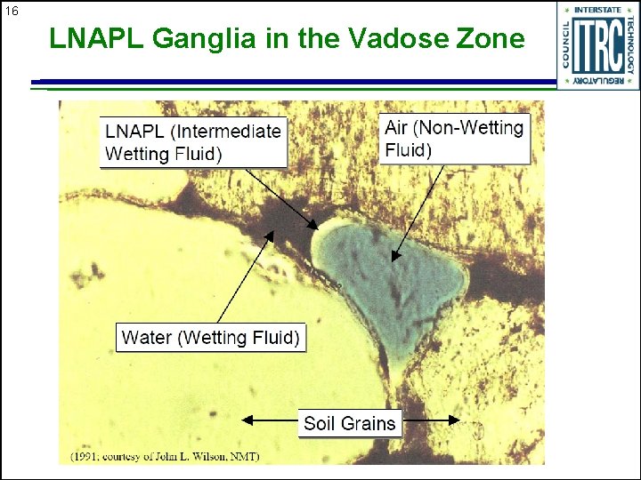 16 LNAPL Ganglia in the Vadose Zone 