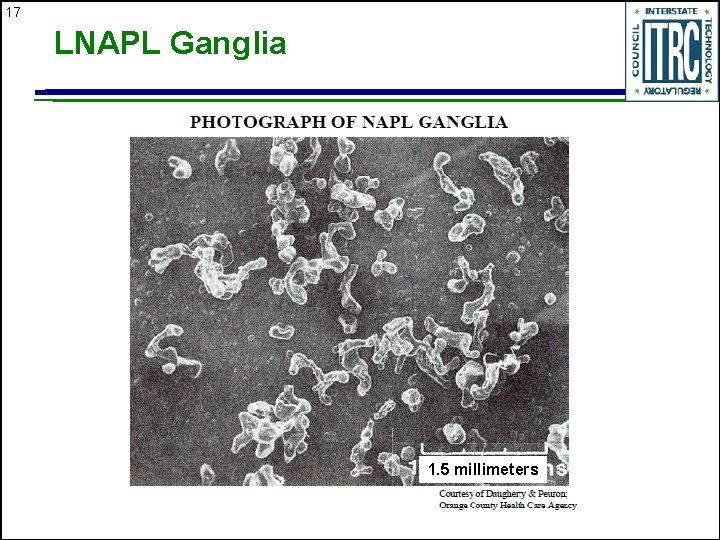 17 LNAPL Ganglia 1. 5 millimeters 