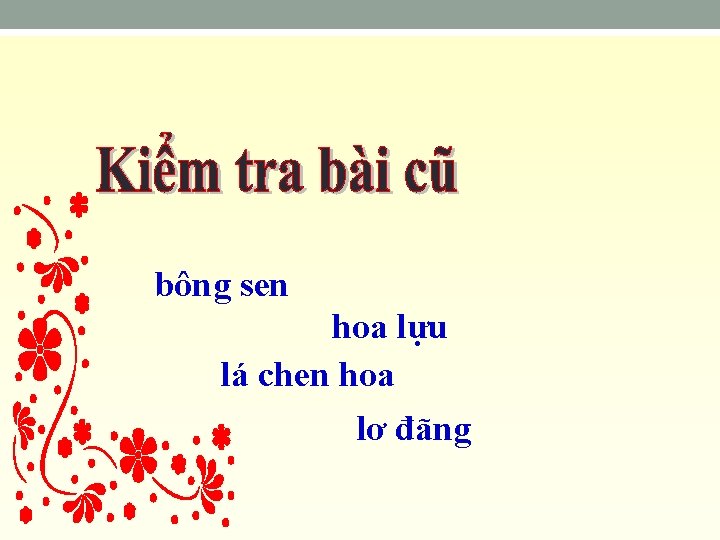 bông sen hoa lựu lá chen hoa lơ đãng 