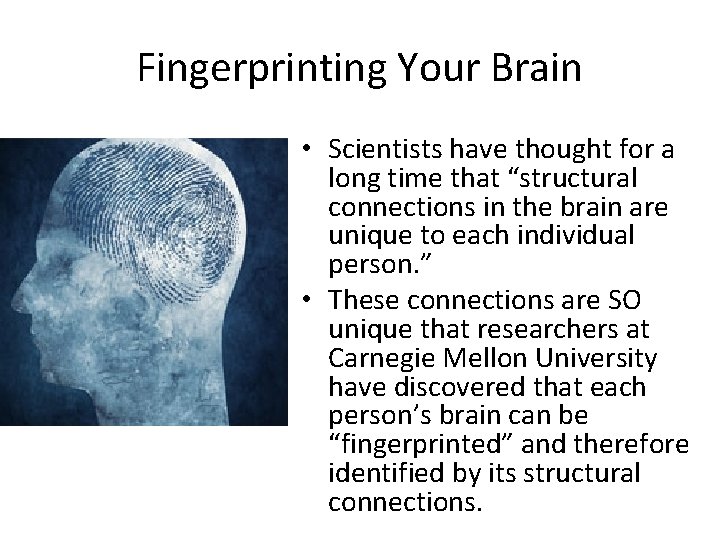 Fingerprinting Your Brain • Scientists have thought for a long time that “structural connections