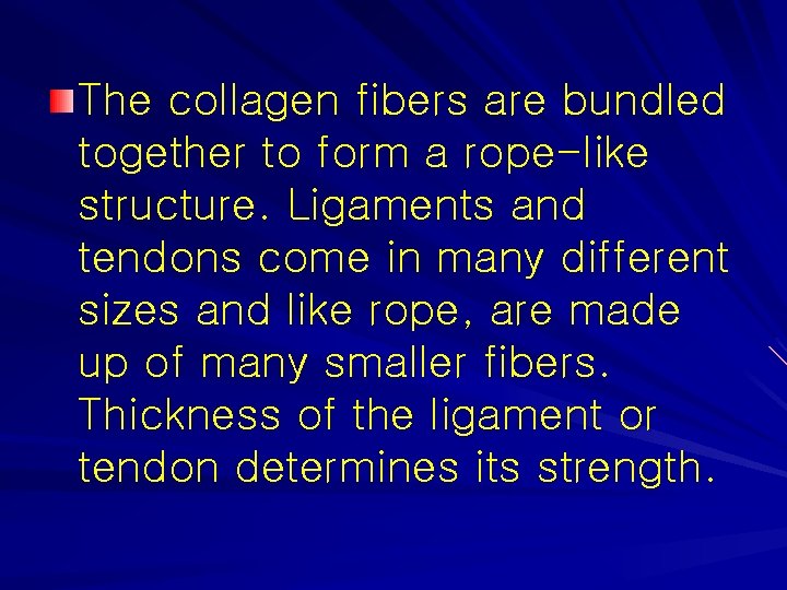 The collagen fibers are bundled together to form a rope-like structure. Ligaments and tendons