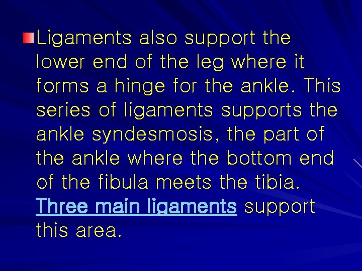 Ligaments also support the lower end of the leg where it forms a hinge