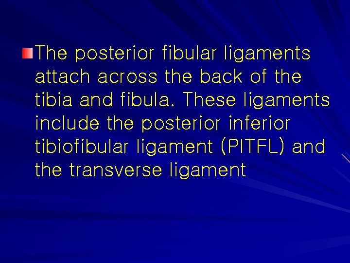 The posterior fibular ligaments attach across the back of the tibia and fibula. These