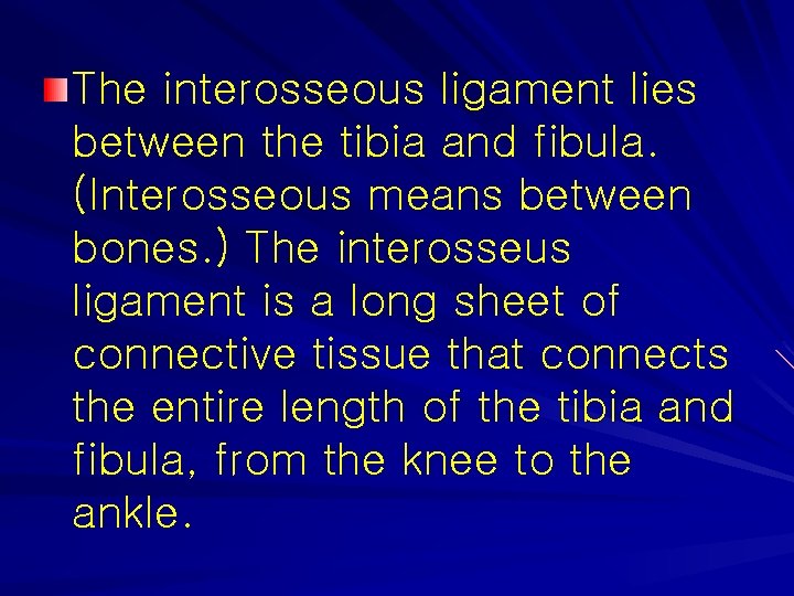The interosseous ligament lies between the tibia and fibula. (Interosseous means between bones. )