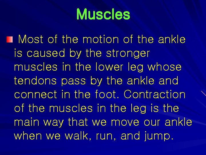 Muscles Most of the motion of the ankle is caused by the stronger muscles