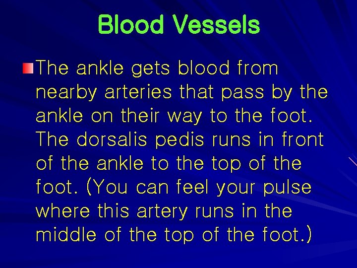 Blood Vessels The ankle gets blood from nearby arteries that pass by the ankle