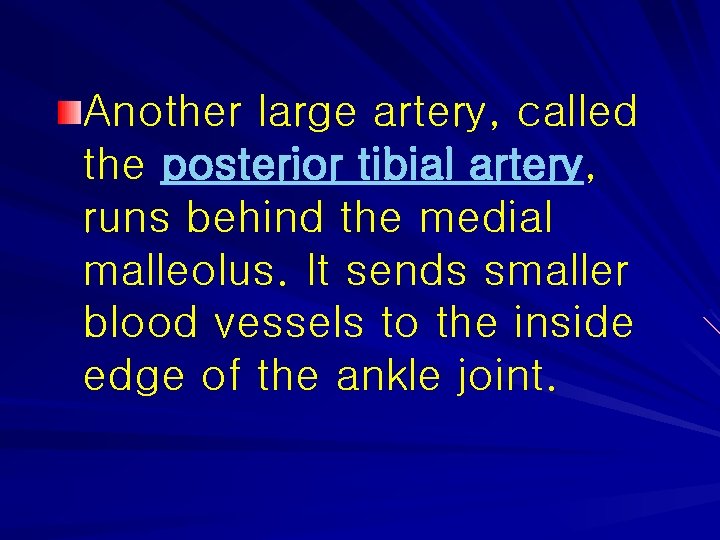 Another large artery, called the posterior tibial artery, runs behind the medial malleolus. It
