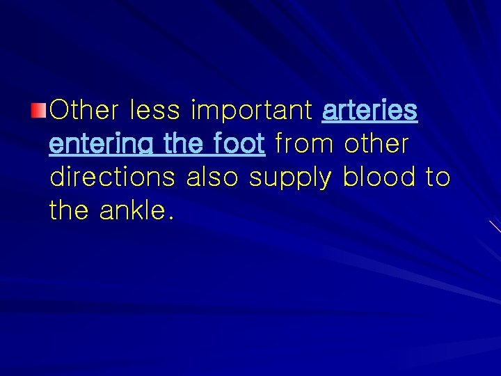 Other less important arteries entering the foot from other directions also supply blood to