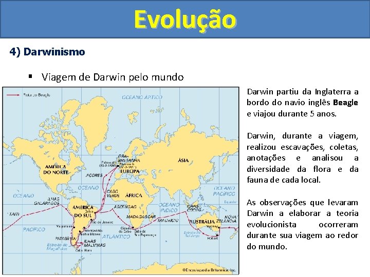 Evolução 4) Darwinismo § Viagem de Darwin pelo mundo Darwin partiu da Inglaterra a