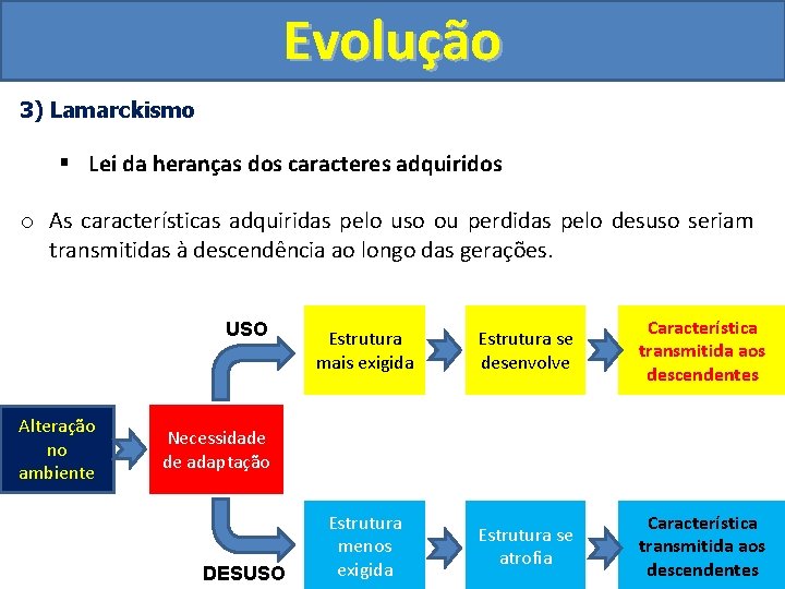 Evolução 3) Lamarckismo § Lei da heranças dos caracteres adquiridos o As características adquiridas