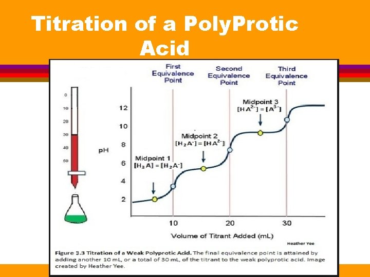 Titration of a Poly. Protic Acid 