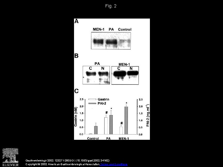 Fig. 2 Gastroenterology 2002 123271 -280 DOI: (10. 1053/gast. 2002. 34162) Copyright © 2002