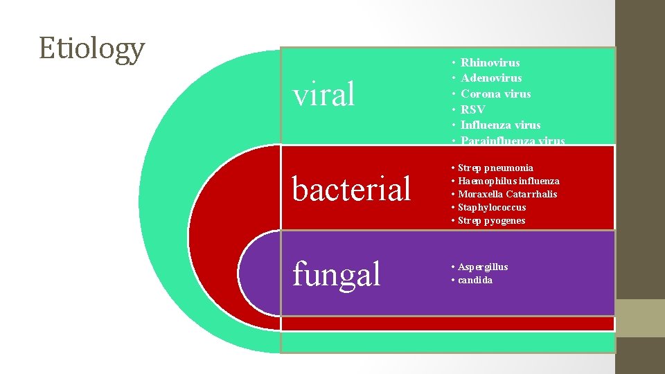 Etiology viral bacterial fungal • • • Rhinovirus Adenovirus Corona virus RSV Influenza virus