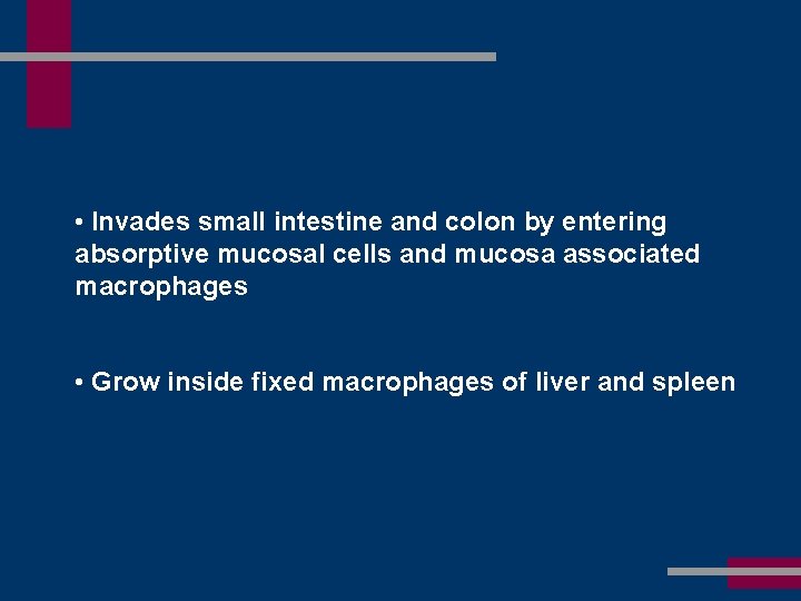  • Invades small intestine and colon by entering absorptive mucosal cells and mucosa