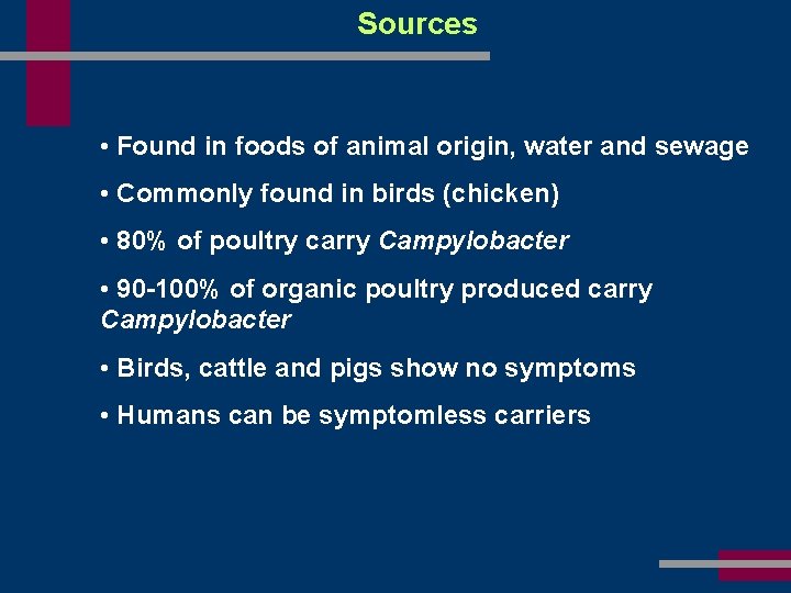 Sources • Found in foods of animal origin, water and sewage • Commonly found