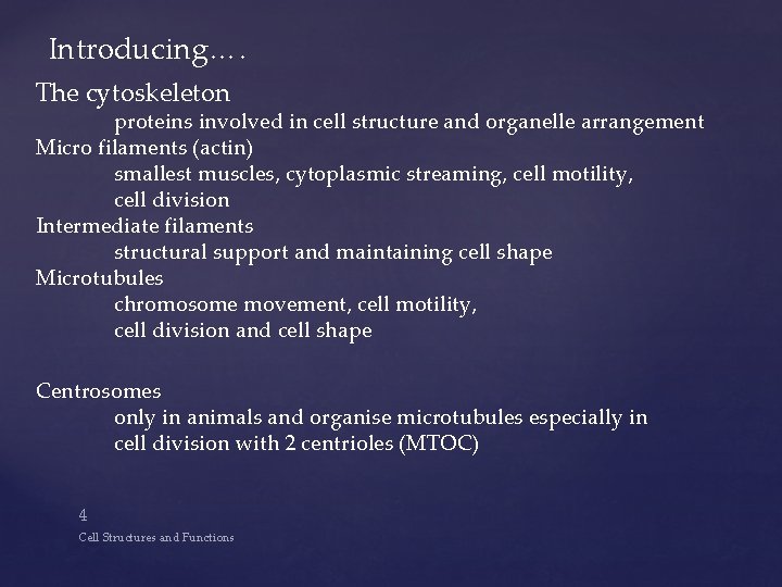Introducing…. The cytoskeleton proteins involved in cell structure and organelle arrangement Micro filaments (actin)