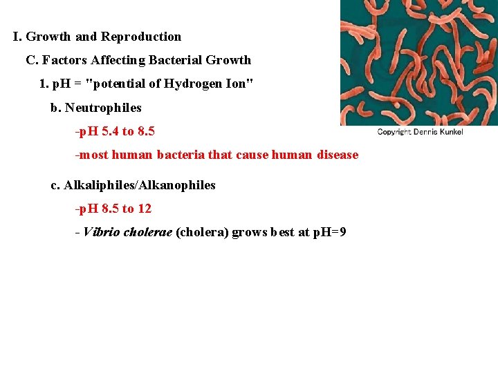 I. Growth and Reproduction C. Factors Affecting Bacterial Growth 1. p. H = "potential