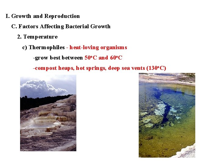 I. Growth and Reproduction C. Factors Affecting Bacterial Growth 2. Temperature c) Thermophiles -