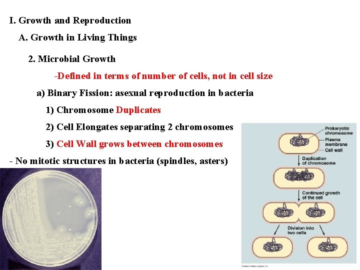 I. Growth and Reproduction A. Growth in Living Things 2. Microbial Growth -Defined in