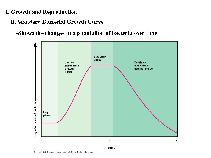 I. Growth and Reproduction B. Standard Bacterial Growth Curve -Shows the changes in a