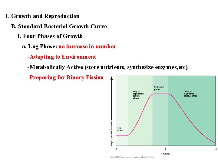 I. Growth and Reproduction B. Standard Bacterial Growth Curve 1. Four Phases of Growth
