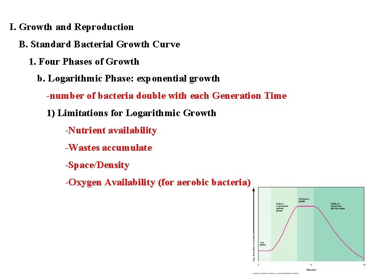 I. Growth and Reproduction B. Standard Bacterial Growth Curve 1. Four Phases of Growth