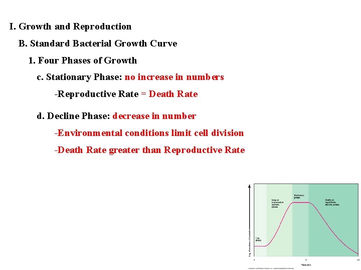 I. Growth and Reproduction B. Standard Bacterial Growth Curve 1. Four Phases of Growth