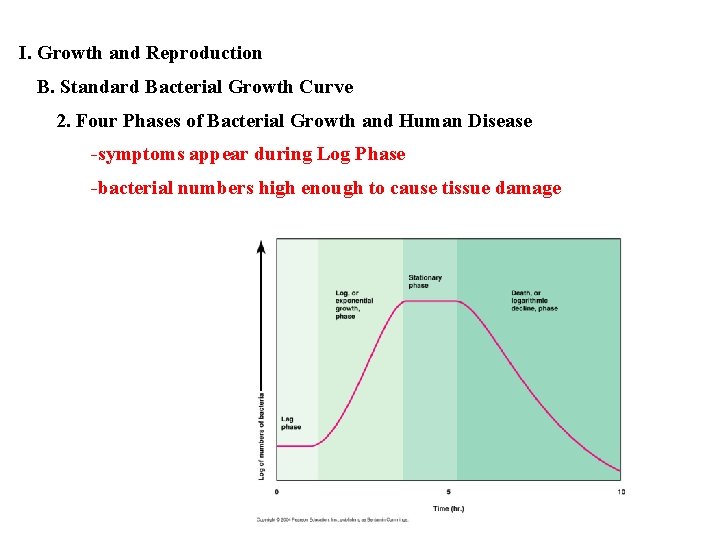 I. Growth and Reproduction B. Standard Bacterial Growth Curve 2. Four Phases of Bacterial