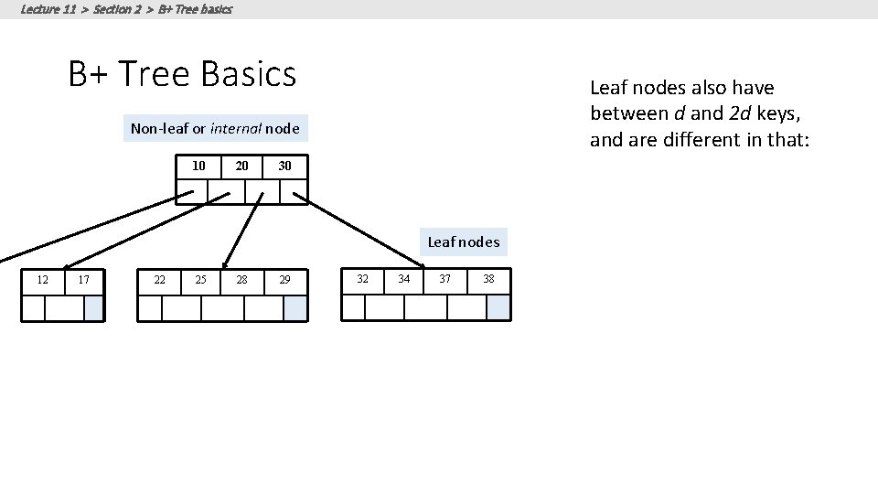 Lecture 11 > Section 2 > B+ Tree basics B+ Tree Basics Leaf nodes Lecture 11 > Section 2 > B+ Tree basics B+ Tree Basics Leaf nodes