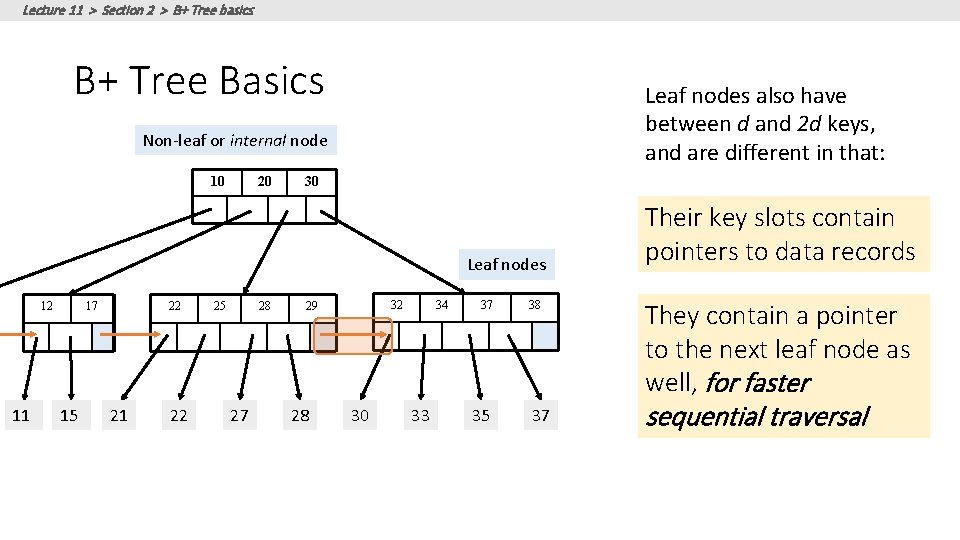 Lecture 11 > Section 2 > B+ Tree basics B+ Tree Basics Leaf nodes Lecture 11 > Section 2 > B+ Tree basics B+ Tree Basics Leaf nodes