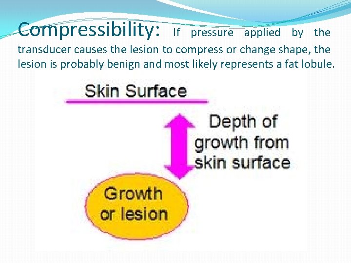 Compressibility: If pressure applied by the transducer causes the lesion to compress or change