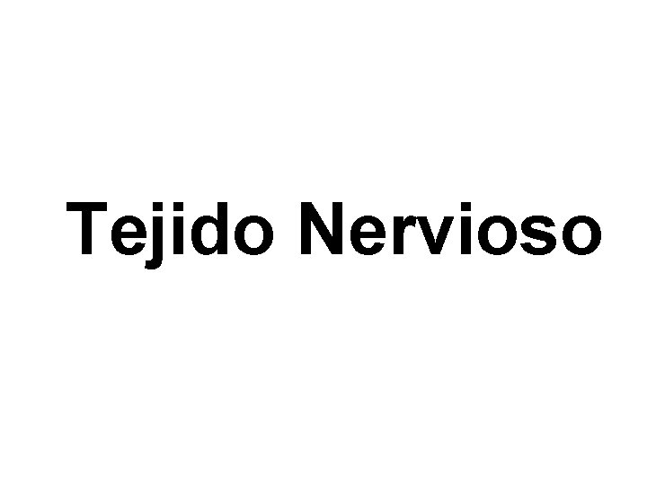 Tejido Nervioso 
