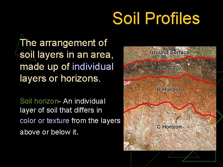 Soil Profiles The arrangement of soil layers in an area, made up of individual
