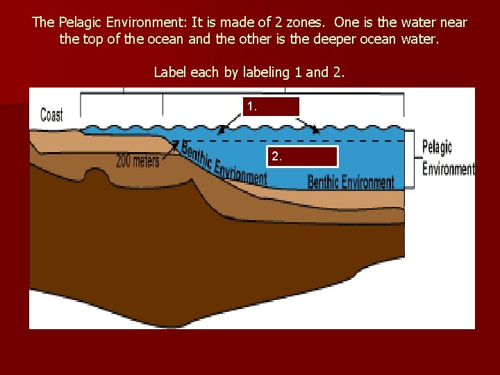 The Pelagic Environment: It is made of 2 zones. One is the water near